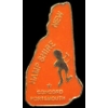 NEW HAMPSHIRE PIN NH STATE SHAPE PINS